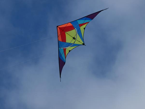 Drachenfest