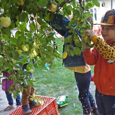 Kita Klettermax Krottorf