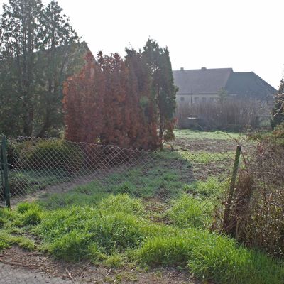 Bauland/ Grundstck in Gunsleben (Gemeinde Am Groen Bruch) bei Schningen