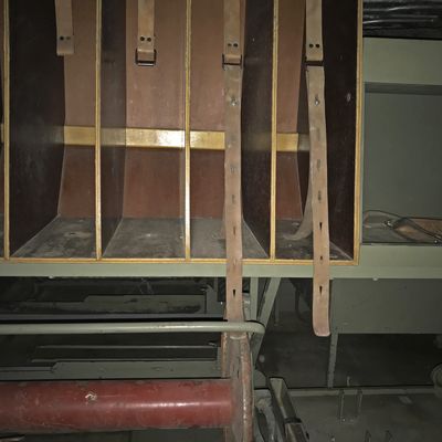 LF 8
