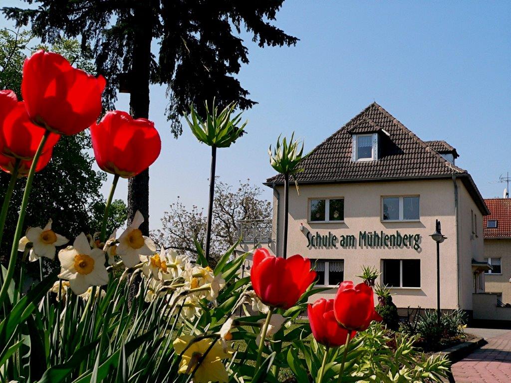 Schule am Mühlenberg Hamersleben - Förderschule "Geistige Entwicklung"