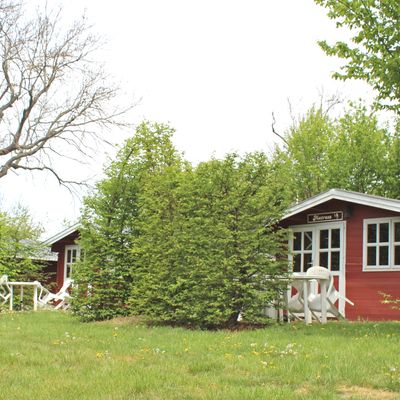 Camping bei Magdeburg in der Nähe vom Harz - Tourismus in Sachsen-Anhalt