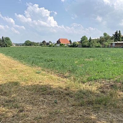 Wohnbaufläche/ Grundstücke günstig kaufen zum Bau eines Einfamilienhaus in Kroppenstedt