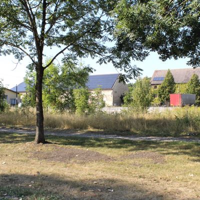 Bauflche / Bauplatz/ Grundstck in Grningen OT Groalsleben bei Halberstadt