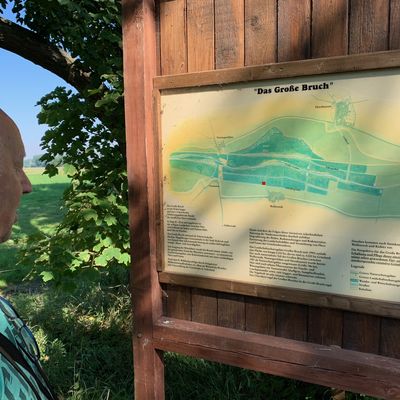 Wanderer, Gäste und Touristen finde wichtige Informationen auf zahlreichen Schautafeln im Großen Bruch bei Oschersleben