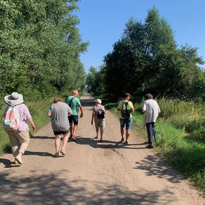 Gute Wanderwege mit Schatten und schöner Landschaft laden zum Wandern und Verweilen ein