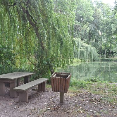 Auch der Parkteich ist im rekultivierten Park auf Vordermann gebracht worden