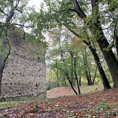Die Nordseite der Domburg im Hakel von auen