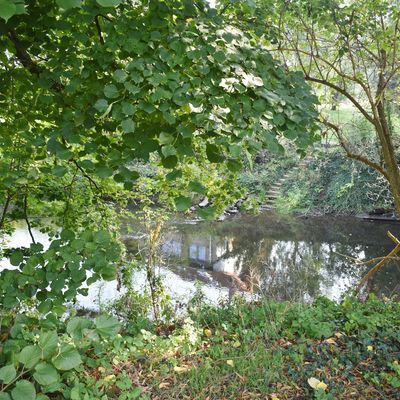 Der Schlosspark wird unter anderem von der Bode begrenzt