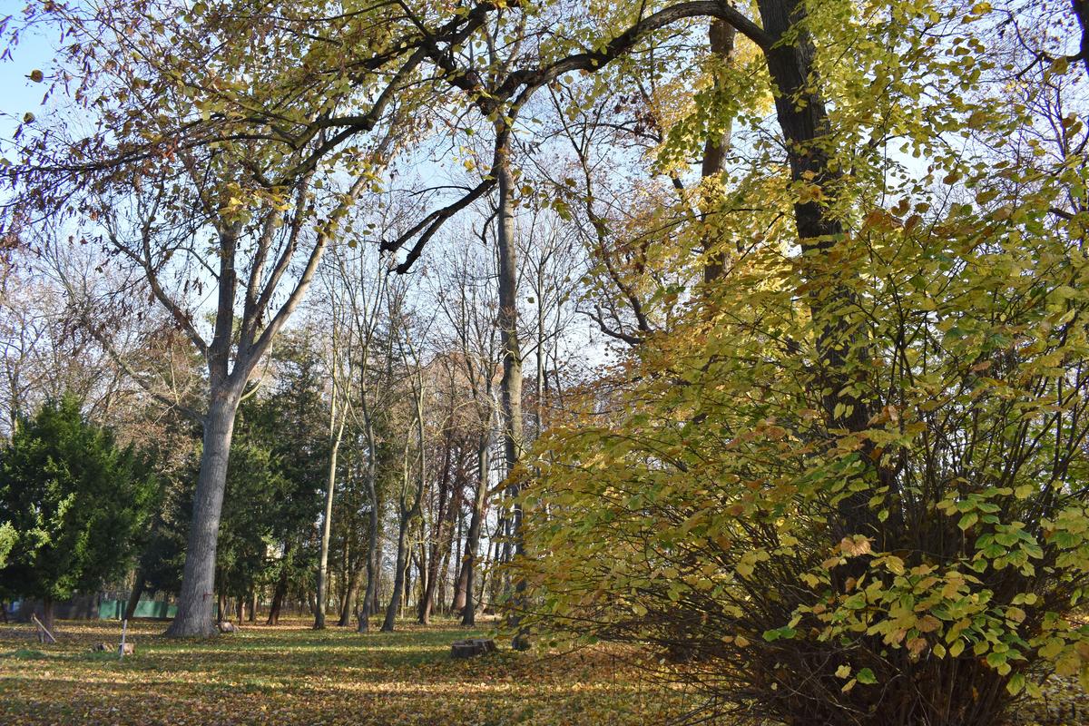 Zum Schlossgelände gehört auch ein zwei Hektar großer Park.