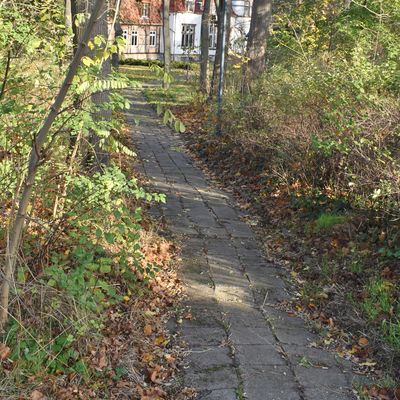 Einer der Parkwege, der zum Schloss Gunsleben führt.