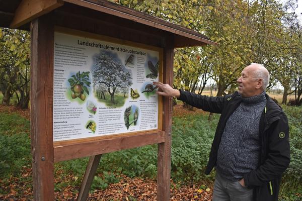 Vorstandsmitglied Harald Schuhfuß an einer der gut einem Dutzend Informationstafeln, die inzwischen im Großen Bruch rund um Wulferstedt stehen.