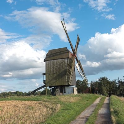 Trogsche Bockwindmühle Ausleben