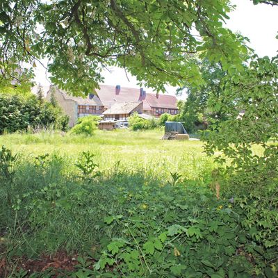 Bauplatz / Grundstück im Grünen kaufen in Krottorf bei Halberstadt - Blick von der Straße