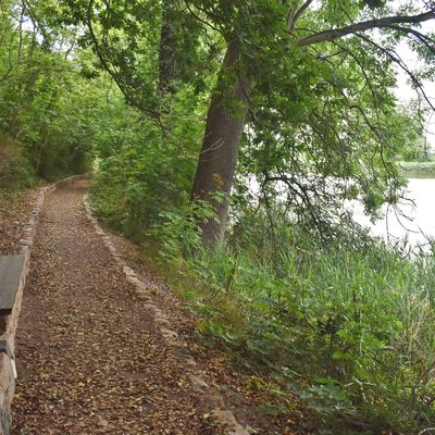 Beim Spaziergang um den Luttersee bei Kloster Gr&ouml;ningen stehen B&auml;nke f&uuml;r die eine oder andere Pause bereit.
