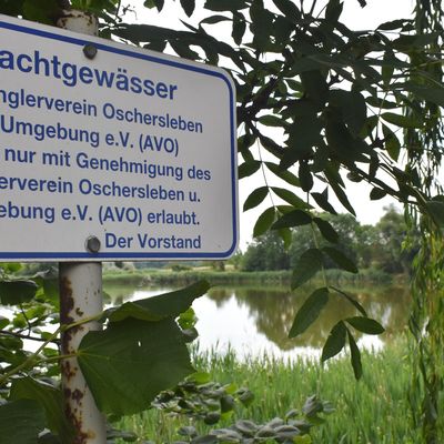 Der Anglerverein Oschersleben und Umgebung hat den Kloster Gröninger Luttersee und etliche andere Gewässer in der Gröninger Umgebung gepachtet. Die Vereinsgruppe Gröningen kümmert sich unter anderem mit Arbeitseinsätzen um den Zustand dieser Gewässer.