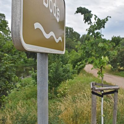 Entlang der Bode ist bei Grningen nicht nur viel Grn, sondern gibt es auch Wege fr Wanderer und Radfahrer.