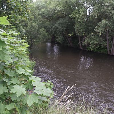 Die Bode ist bei Grningen sowohl stlich eine grne Oase...