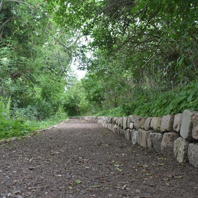 Der Weg um den Kloster Grninger Luttersee ist unter anderem mit Natur-Steinen eingegrenzt.