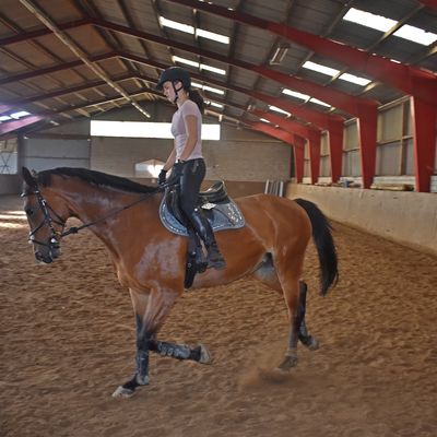 Auch eine Reithalle mit einer 20 mal 40 Meter gro&szlig;en Reitfl&auml;che geh&ouml;rt zum Hof. Hier dreht gerade die Landesmeisterin Mara Marilen Spengler ein paar Trainingsrunden.