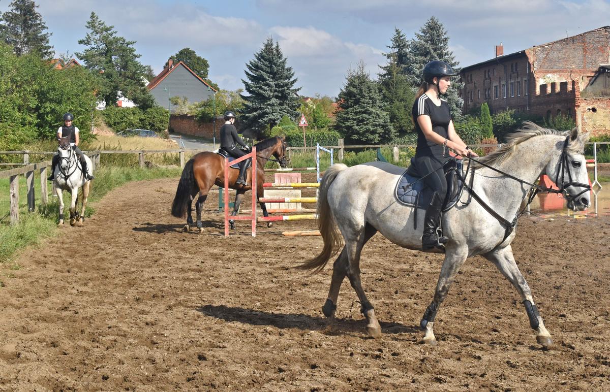 Vor einer Trainingseinheit schauen sich die Pferdesportler ganz in Ruhe die Bedingungen auf dem Reitplatz an.