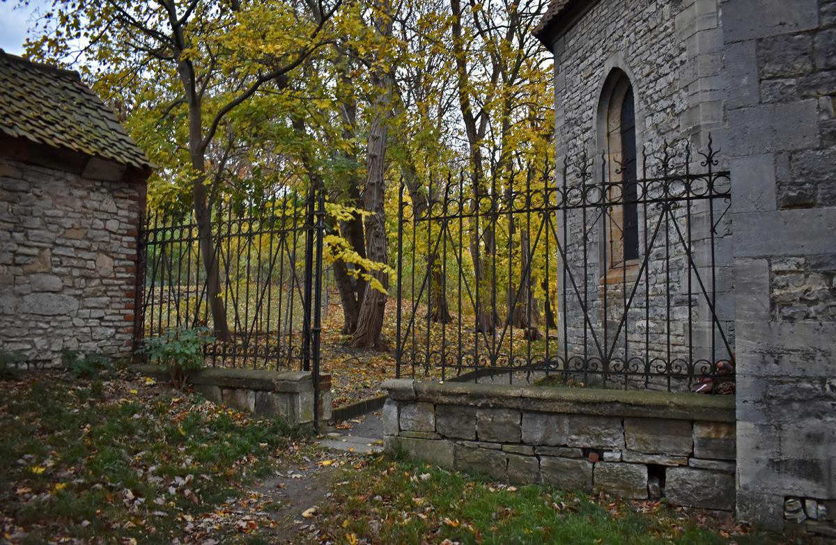 Auf der Ostseite der evangelischen Kirche geht es durch ein Tor in den Neuwegersleber Park.