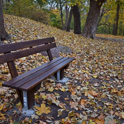Whrend im Neuwegersleber Park solche Bnke fr eine sinnliche Rast aufgestellt worden sind, diente der Hgel dahinter schon in den 1960er Jahren den Kindern als Startrampe fr eine Schlittenfahrt.