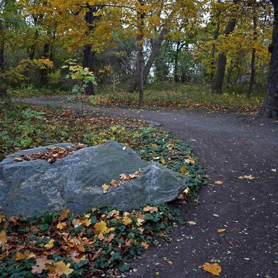 Die Wege im Neuwegersleber Park fhren mitunter recht verschlungen an den vielen verschiedenen Laubbumen vorbei.