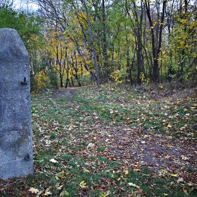 Hier hat einst ein Tor den Weg in den Neuwegersleber Park versperrt. Da durften ihn nur die Familienmitglieder und Freunde der Domnenbesitzer betreten.