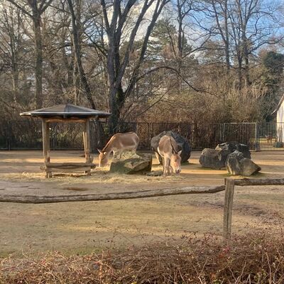 Zoo Magdeburg