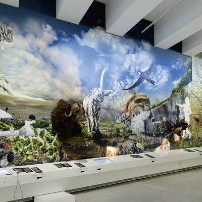 Anhand des in den gewaltigen Sch&ouml;ninger Schichtpaketen aufgeschlossenen Archivs zur Klima- und Naturgeschichte werden langfristige Entwicklungen der Eiszeit mit ihren Kalt- und Warmzeiten mit der gro&szlig;en Panoramawand erlebbar (J. Bitter).