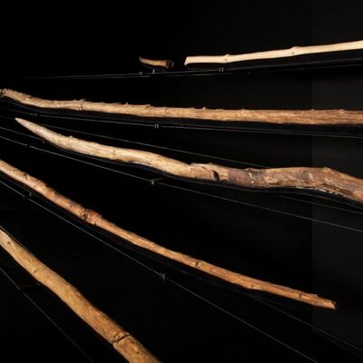 Die Speere von Schningen in der Ausstellung im Forschungsmuseum Schningen (V. Minkus,NLD).