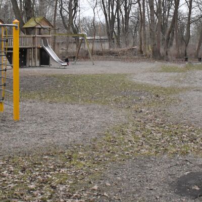 Neugierige Laufenten gehren auch zu den Bewohnern des Oschersleber Tiergeheges.