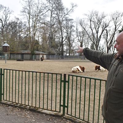 Tiergehege-Leiter Björn Löffler zeigt zum Taubenturm des Oschersleber Wiesenparks, der auch viele Monate im Jahr sehr bevölkert ist.