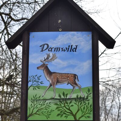 Zahlreiche solcher Schilder informieren im Oschersleber Wiesenpark ber die Bewohner des Tiergeheges.