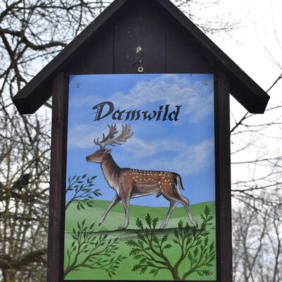 Zahlreiche solcher Schilder informieren im Oschersleber Wiesenpark über die Bewohner des Tiergeheges.