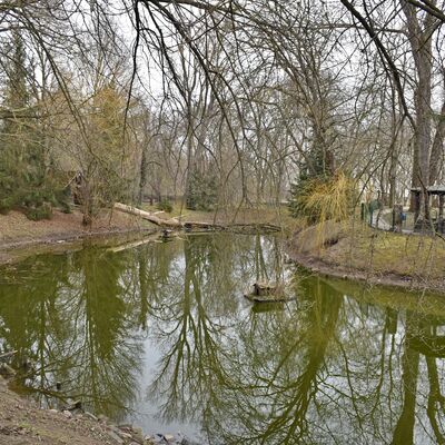 Der Enten- und Schwanenteich ist eine der Grenzen des Wiesenparks.