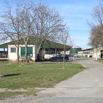 Helming Milchhof GmbH