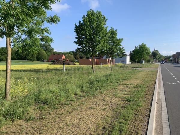 Bauland/ Grundstck Groalsleben bei Magdeburg, Wanzleben, Slzetal im Landkreis Brde