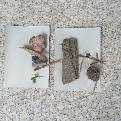 Kleine Fotowerkstatt mit der Kraft der Sonne