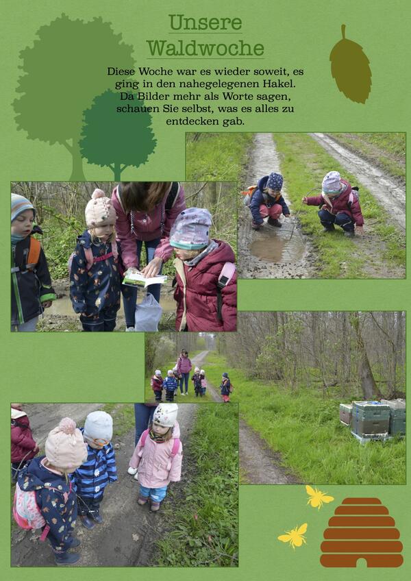 Unsere Waldwoche