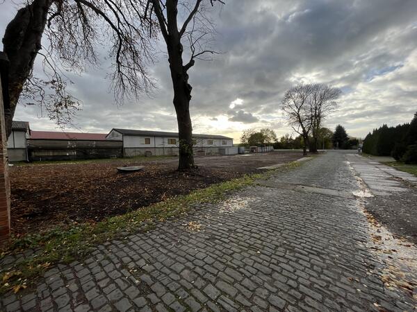 Grundstück / Bauland in Gröningen bei Halberstadt, Quedlinburg, Oschersleben, Magdeburg, Sülzetal