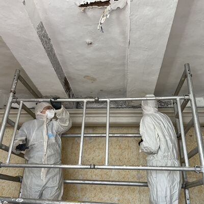 Freilegung der historischen Deckenmalereien während der Seminarwoche mit dem Deutschen Fachwerkzentrum Quedlinburg in Gröningen