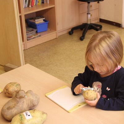 Die Kinder helfen bei alltäglichen Aufgaben mit - Kita Krottorf