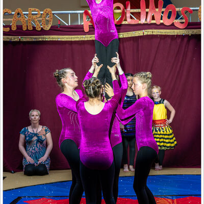 Erlebnisbericht: Circuscamp »AWOlinos« 