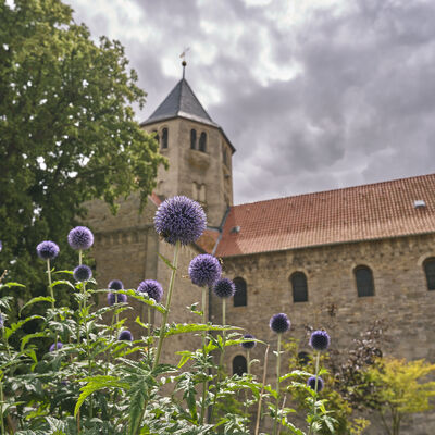 Klosterkirche St. Vitus in Kloster Gr&ouml;ningen - historisches Ziel am Bode-Radweg f&uuml;r Radfahrer und Pilger