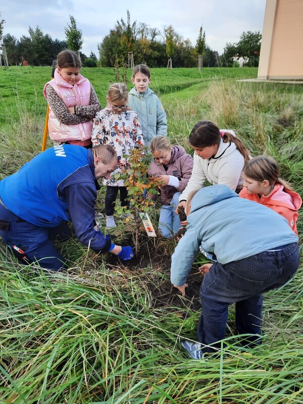 Friedrich-Hoffmann-Grundschule Gröningen pflanzt Obstbäume als Zeichen für Nachhaltigkeit