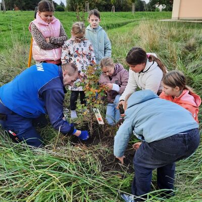 Friedrich-Hoffmann-Grundschule Gröningen pflanzt Obstbäume als Zeichen für Nachhaltigkeit