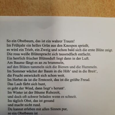 Friedrich-Hoffmann-Grundschule Gr&ouml;ningen pflanzt Obstb&auml;ume als Zeichen f&uuml;r Nachhaltigkeit