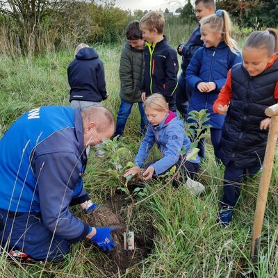 Friedrich-Hoffmann-Grundschule Gr&ouml;ningen pflanzt Obstb&auml;ume als Zeichen f&uuml;r Nachhaltigkeit
